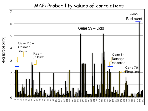 Outlier analysis for correlations between 442 SNPs and Mean Annual Precipitation (MAP) in Q. lobata