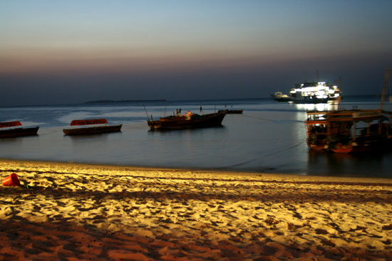 Beach at Night