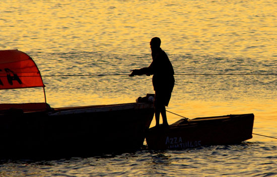 Fisherman