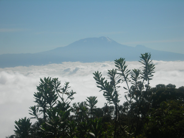 Kili1