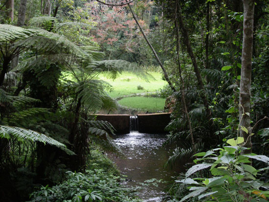 Pond